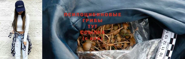 дмт Краснослободск