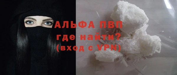 крисы Коряжма