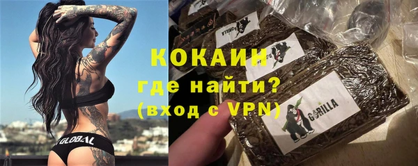 дмт Краснослободск