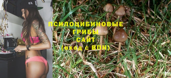 дмт Краснослободск