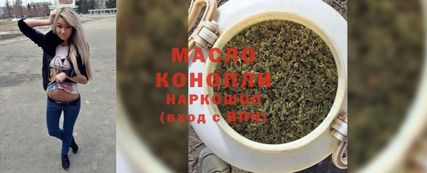 крисы Коряжма