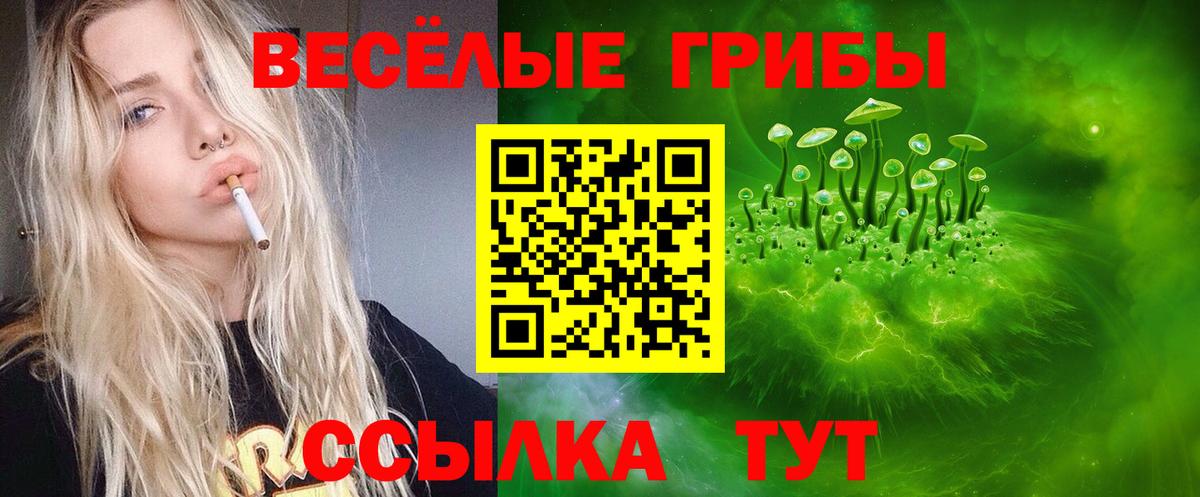 Кинешма  Галлюциногенные грибы GOLDEN TEACHER  Вход с VPN  Галлюциногенные грибы ЛСД 