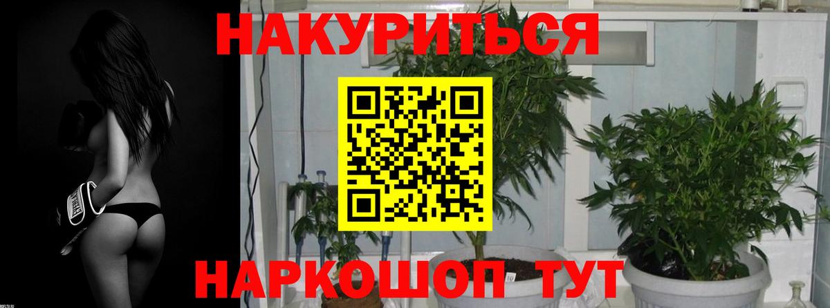 Каннабис индика  Бошки Шишки гибрид  Вход с VPN  Кинешма 
